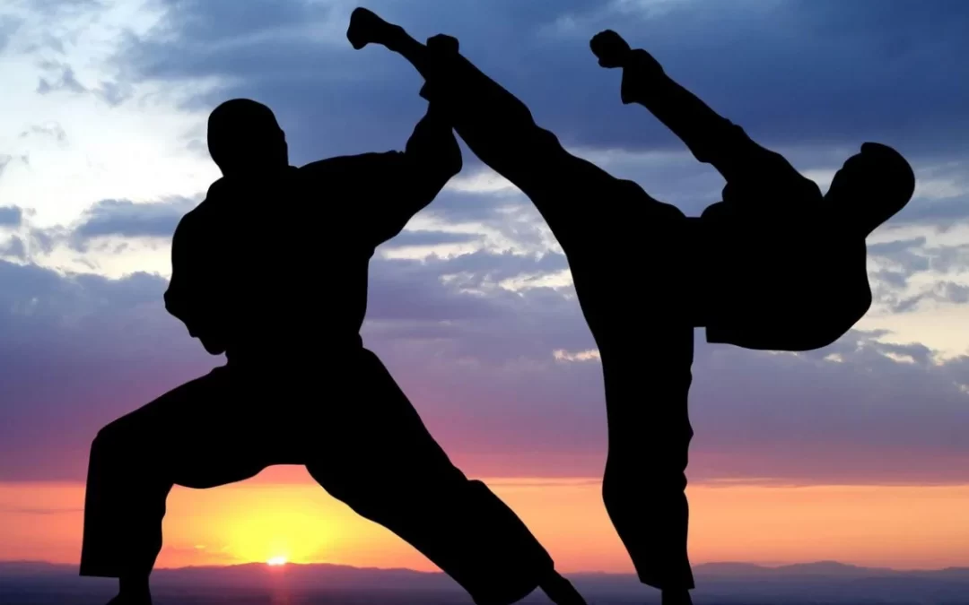 Top 8 Most Popular Martial Arts Sports in Trinbago